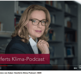 Die versaubeutelte COP28 - Klimaschutz und Energiewende