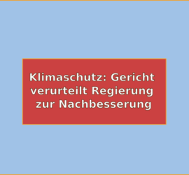 Klimaschutz: Gericht verurteilt Regierung zur Nachbesserung