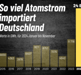 Die Blackout Paranoia Fanbase meldet sich zu Wort
