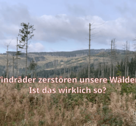 Windräder zerstören unsere Wälder, ist das wirklich so?