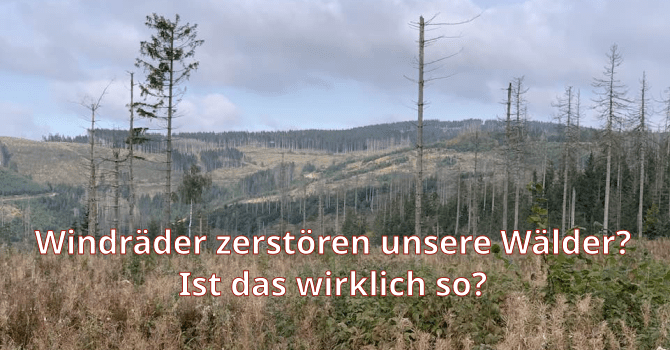 Windräder zerstören unsere Wälder, ist das wirklich so?