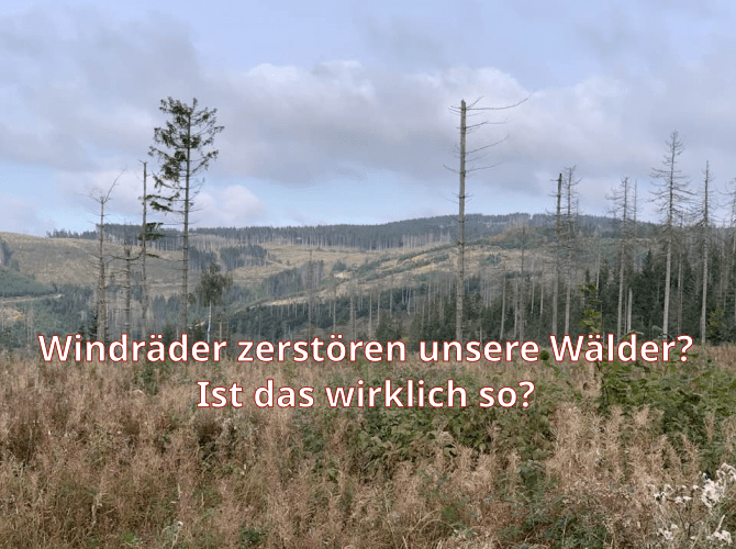 Windräder zerstören unsere Wälder, ist das wirklich so?