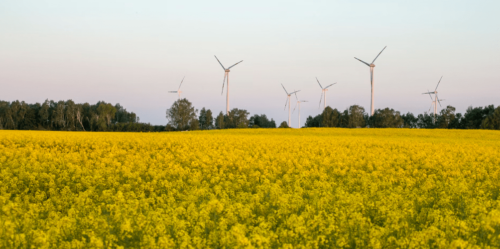 59 Milliarden Euro eingespart – Erneuerbare Energien - Foto etienne-girardet-gQ0z780gM4c-unsplash