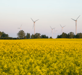 59 Milliarden Euro eingespart – Erneuerbare Energien - Foto etienne-girardet-gQ0z780gM4c-unsplash